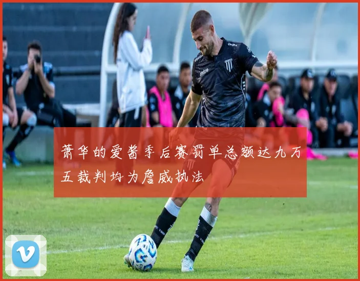 萧华的爱酱季后赛罚单总额达九万五裁判均为詹威执法